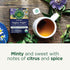 96 (6 Pack) Traditional Medicinals Tea, Organic Nighty Night, Relax & Get a Good Night's Sleep, Includes Spearmint Tea