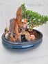 jmbamboo -bonsai- Juniper Tree Zen Garden With Pool Fishman