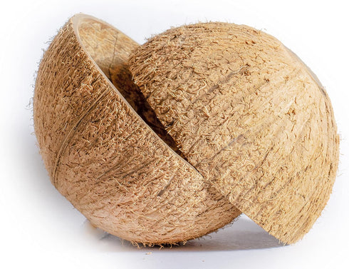 Natural Coconut Bowl Halves Coconut Shell for handicraft or pet feeder and candle maker and Christmas and Halloween decorations (2, with fiber) by Sri Care