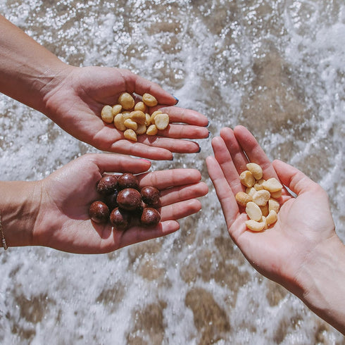 100% 8 (Pack 1) Island Harvest Unsalted Organic Macadamia Nuts - Hawaiian Unsalted Macadamia Nuts are Keto Friendly