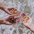100% 8 (Pack 1) Island Harvest Unsalted Organic Macadamia Nuts - Hawaiian Unsalted Macadamia Nuts are Keto Friendly