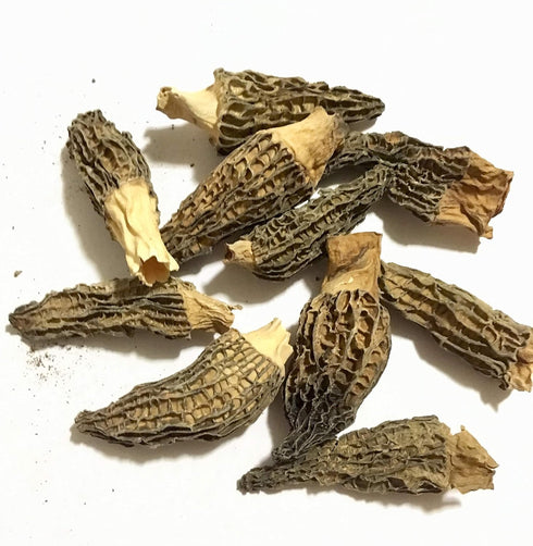 Dried Morel Mushrooms (Morchella Conica) 2oz