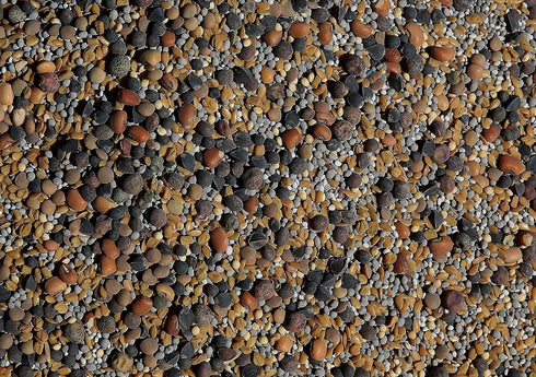 13-Seed (1 lb. [50% No-Till Cover Crop Mix Bag): Clovers Plus Fenugreek, Vetch, Flax, Cowpeas, Buckwheat, Forage Peas