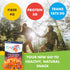 12 1-oz Pack, Feel Festive Bags Fiery Spicy Crunchy Roasted Chickpeas Protein Snack Healthy Garbanzo Beans, Non-GMO