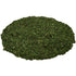5 oz 5 McCormick Culinary Dill Weed, - One Ounce Container of Dried Dill Weed Seasoning For Back of House Use, Best