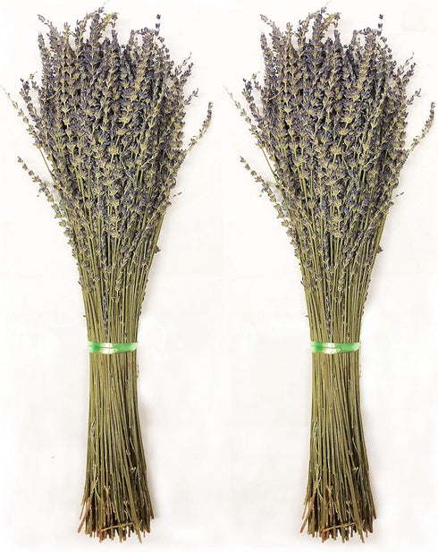 TOMOKOMAMA Dried Lavender Bundles - Freshly Harvested Organic Lavender Bunch Royal Velvet Bouquet
