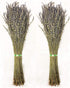 TOMOKOMAMA Dried Lavender Bundles - Freshly Harvested Organic Lavender Bunch Royal Velvet Bouquet