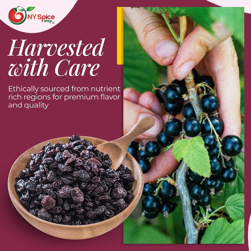 5 NY Spice Shop Currants Dried Fruit - Pound Currant Raisins - Dried Currants for Baking - Naturally Dried Red Currants