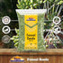 Rani Fennel Seeds (Saunf Sabut) Whole Spice, 3.5oz (100g) - All Natural, Vegan