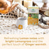 ORGANIC INDIA Tulsi Lemon Ginger Tea Bags - Herbal Tea, Stress Relieving, Immune Support, 18 Infusion Bags, 3 Pack
