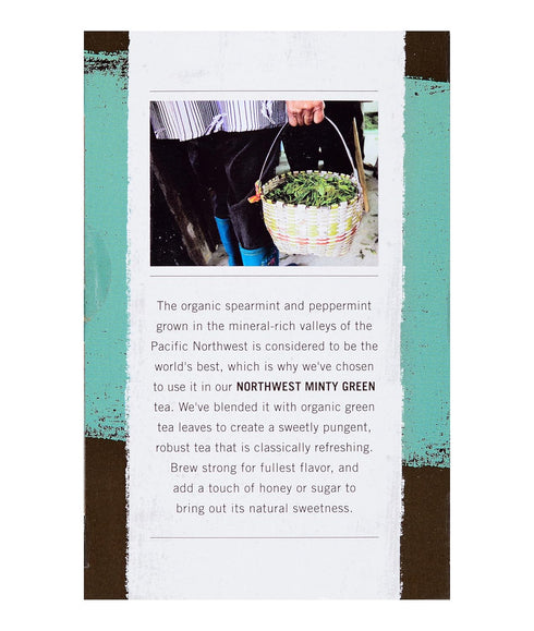 Allegro Tea, Organic Northwest Minty Green Tea Bags, 20 Count
