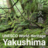 (4.9OZ) YAMASAN KYOTO UJI Japanese Candy - Mandarin Orange Flavor of Yakushima, Individually Wrapped, No Chemical