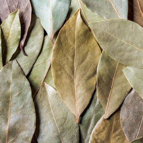GranAroma Ground Bay Leaves, 7.2 oz for Savory Flavor in Soups & Sauces, Pickling Spice