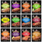 McCormick Grill Mates Marinade Mix Variety Pack, Includes 12 Marinade Mixes, Sweet,