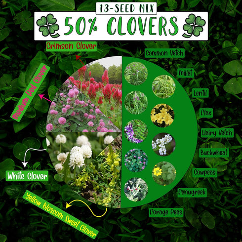 13-Seed (1 lb. [50% No-Till Cover Crop Mix Bag): Clovers Plus Fenugreek, Vetch, Flax, Cowpeas, Buckwheat, Forage Peas