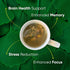 4-in-1 (30 Brain Tea Focus & Memory - Brain Tea Organic Certified Nootropic Herbal Supplement with Ginkgo Biloba, Gotu