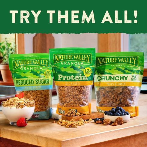 17 OZ (Pack 2) Nature Valley Protein Granola, Oats and Honey, Family Size, Resealable Bag