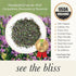 7.05 Oz 100 Wild Bliss Organic Wild Breckland Thyme Tea - Caffeine Free Loose Leaf Herbal Tea - Respiratory