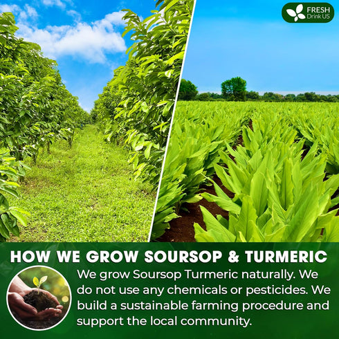 60 100% 100% FreshDrinkUS, Premium Soursop Turmeric Tea Bags, Natural, Blend of Soursop Leaves, and Turmeric Root. Made