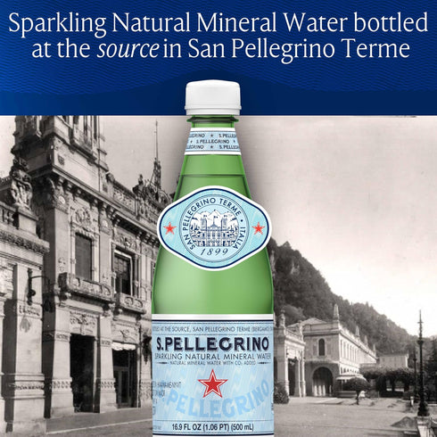 16.9 Oz (Pack 12) S.Pellegrino Sparkling Natural Mineral Water, Plastic Bottles, Fl