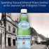 16.9 Oz (Pack 12) S.Pellegrino Sparkling Natural Mineral Water, Plastic Bottles, Fl