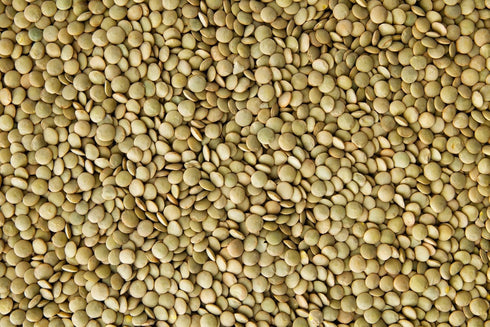 Hunza Natural Foods (2 lbs) Hunza Organic Green Lentils