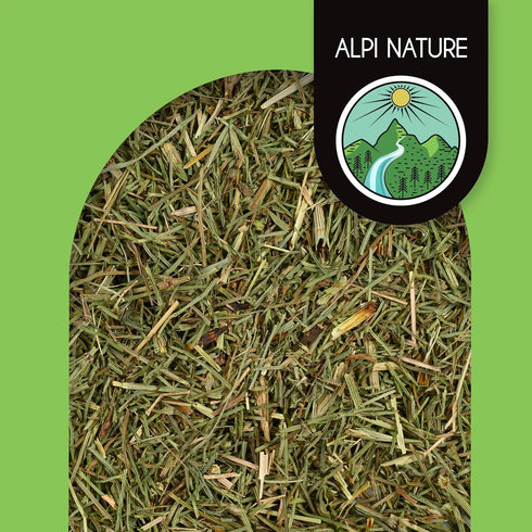 Horsetail 8 oz 227g, Horsetail Alpi Nature Herb Dried Herb for Tea Preparation, Loose Herbal Tea