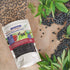 100% 1lb Immune Gummies, 1 Certified USDA - Organic Dried Elderberries - Bulk - Non-Irradiated, Non-Gmo, Whole Black