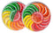 Boston Fruit Slices - SET OF TWO 11oz Acetate Circles - America's