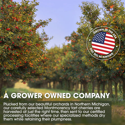 (Pack 8oz (1LB) -100% Packed Cherry Bay Orchards - Dried Montmorency Tart Cherries - No Added Sugar - of Two Bags