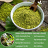 Premium 1oz Soursop Leaf Powder - 100% Natural & Pure from Wildcrafted Soursop Leaves, Graviola Powder, Vegan
