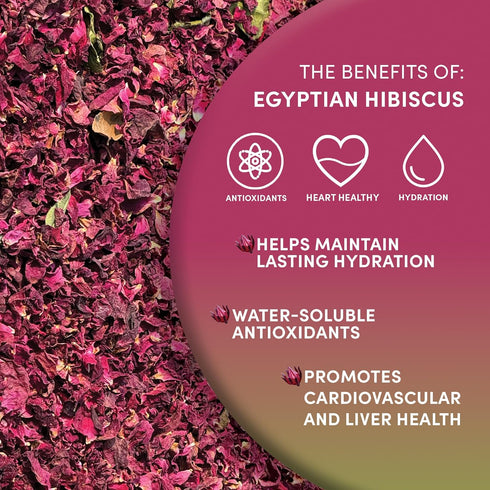 8 oz, 100% Worldwide Botanicals Organic Hibiscus Tea Loose Leaf, Cut and Sifted Egyptian Hibiscus sabdariffa AKA