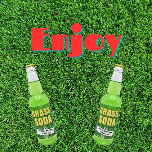 Generic 6 Pack 12 oz 6 Pack Grass Soda | of Unique Grass Flavored Soda Pop with Real Cane Sugar | Glass Bottles in a