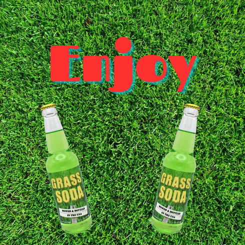 Generic 12 Pack 12 oz 12 Pack (12 pack) Grass Soda | of Unique Grass Flavored Soda Pop with Real Cane Sugar | Glass