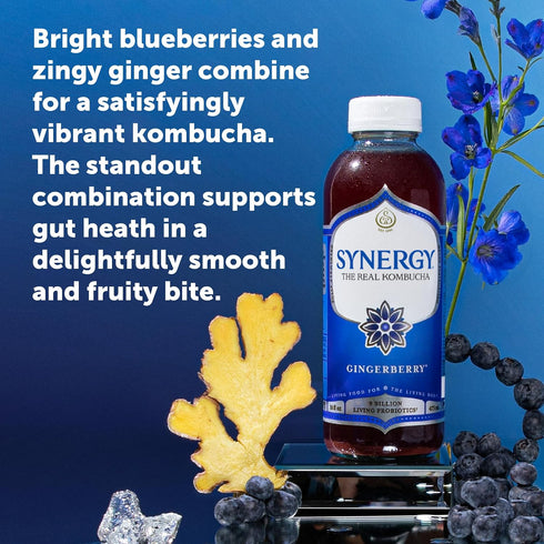16 oz Immune SYNERGY The Real Kombucha - Gingerberry - fl Bottle - Raw Probiotic Drink for Gut Health and Support
