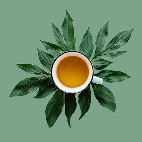 Washington Apple Loose Leaf Green Tea - Cinnamon-Dried Apples - Caffeinated, Hot & Iced | Bulk 8oz, 80-100 Cups