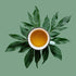 Washington Apple Loose Leaf Green Tea - Cinnamon-Dried Apples - Caffeinated, Hot & Iced | Bulk 8oz, 80-100 Cups