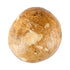 Bristol Farms 1 Count , Jicama