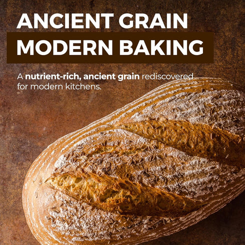 (3 lb) KAMUT Flour Whole Wheat Flour, Great for Whole Grain Bread and Baking, All-Natural, USDA Organic, OU Kosher
