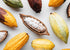2 Food to Live Organic Cacao Paste Wafers, Pounds - Non-GMO Cacao Liquor, Wafers and Bars, Pure, Unfiltered, Unrefined