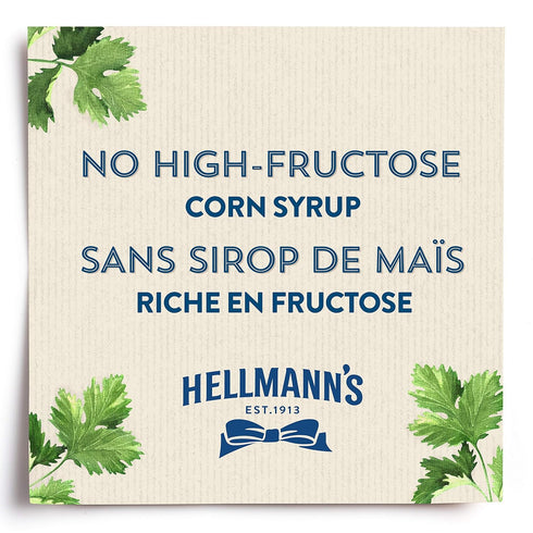 HELLMANN'S 325ml/11 oz., Spicy Chipotle Frites Mayo Style Sauce, (Imported from Canada)