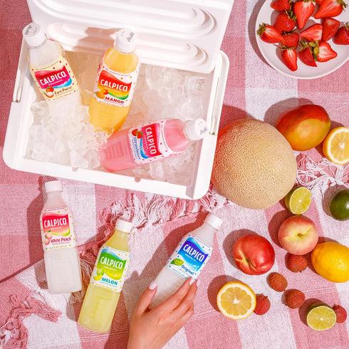 6 Pack 16.9 oz (Pack 6) CALPICO Flavor Variety Smooth, Creamy & Refreshing Non-Carbonated Beverage, Sweet and Tangy