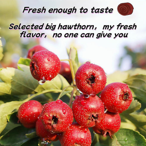 8.5oz packaged 240g Hawthorn Fruit Rolls - Hawthorn Candy Asian-Inspired Snacks Tart & Sweet Traditional Snacks |