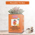 Brew La La Organic Green Tea - Ginger Mango Flavor, 50 Tea Bag Tin, Low Caffeine, USDA Certified Organic