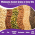 24 Pack Cooper Street Granola Bakes - Soft Baked Oats, Grain & Seeds Breakfast Granola Bars Variety - Nut & Dairy Free