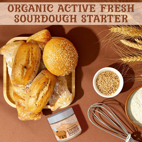 75 Living Dough - Year Old Einkorn Wheat Flour Ancient Grain Sourdough Starter Culture - Active & Live Organic
