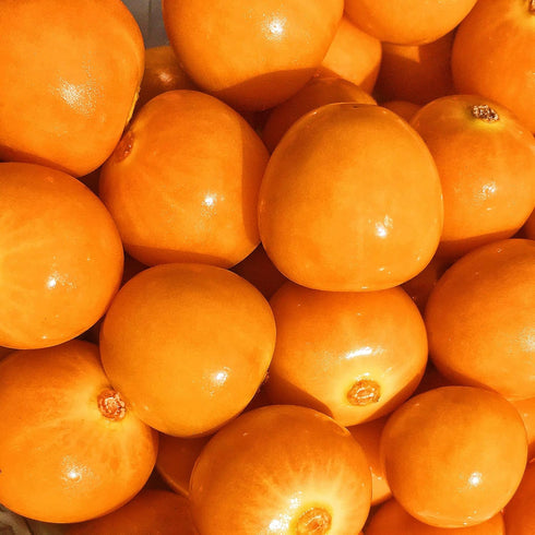 3 (Pack 3) Kejora Fresh Golden Berries/Cape Gooseberries Ounce