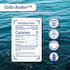 1 lb Celtic Sea Salt Kosher Unrefined Sea Salt, Chef Trusted, Sustainably Harvested, GMP Certified Cooking, Baking