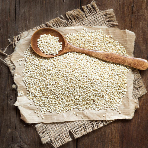1 Packaged Earthborn Elements White Quinoa, Gallon, Gluten-Free, Raw, Vegan, in a Resealable Bucket
