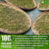 135 100% (135 FreshDrinkUS, Premium Rosemary Leaf Tea Bags, Natural and Pure Rosemary Dried Leaves, Pure Herbal Tea, No
